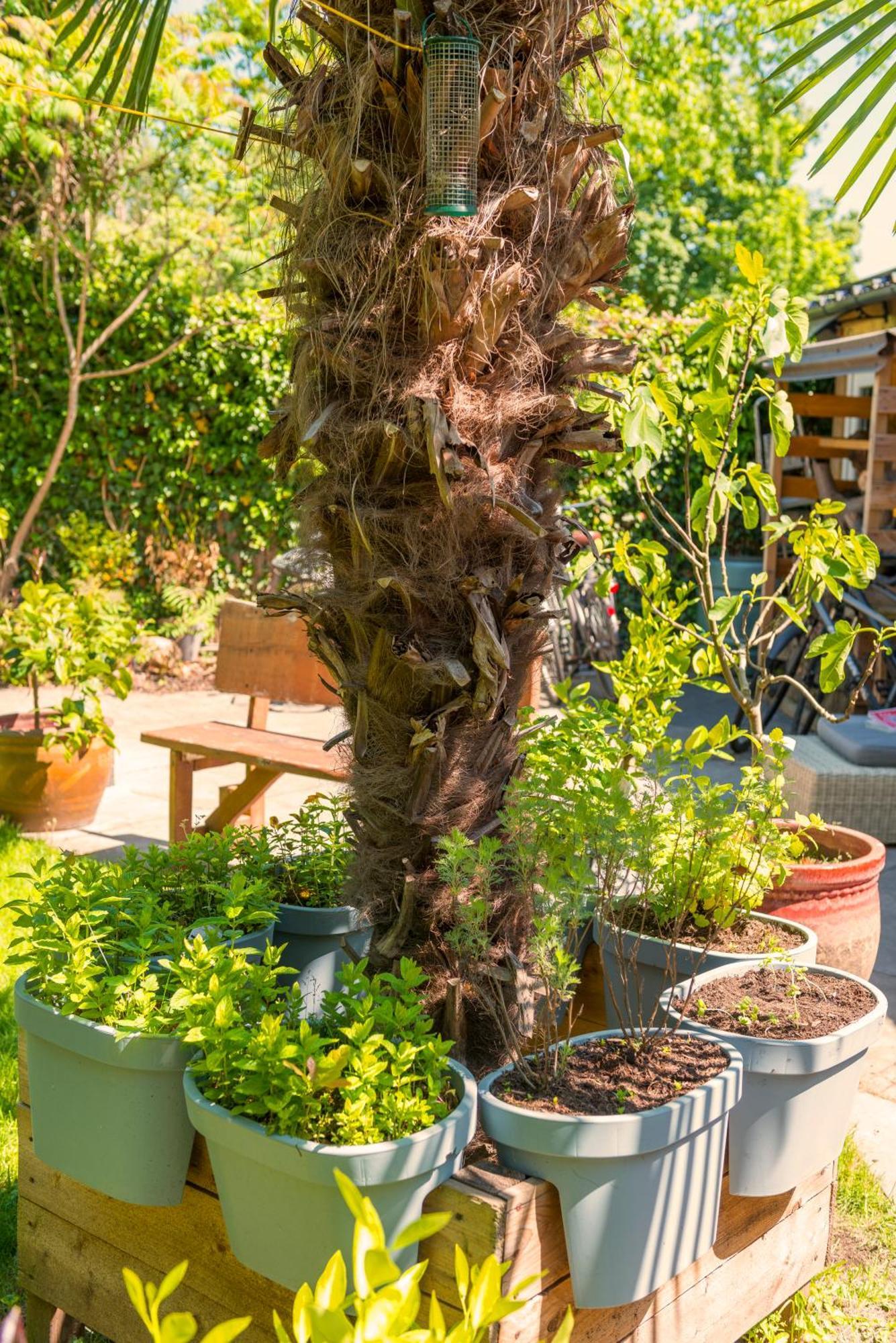 Tiny House - Leenfietsen, Eigen Keuken En Badkamer Nimwegen Exterior foto